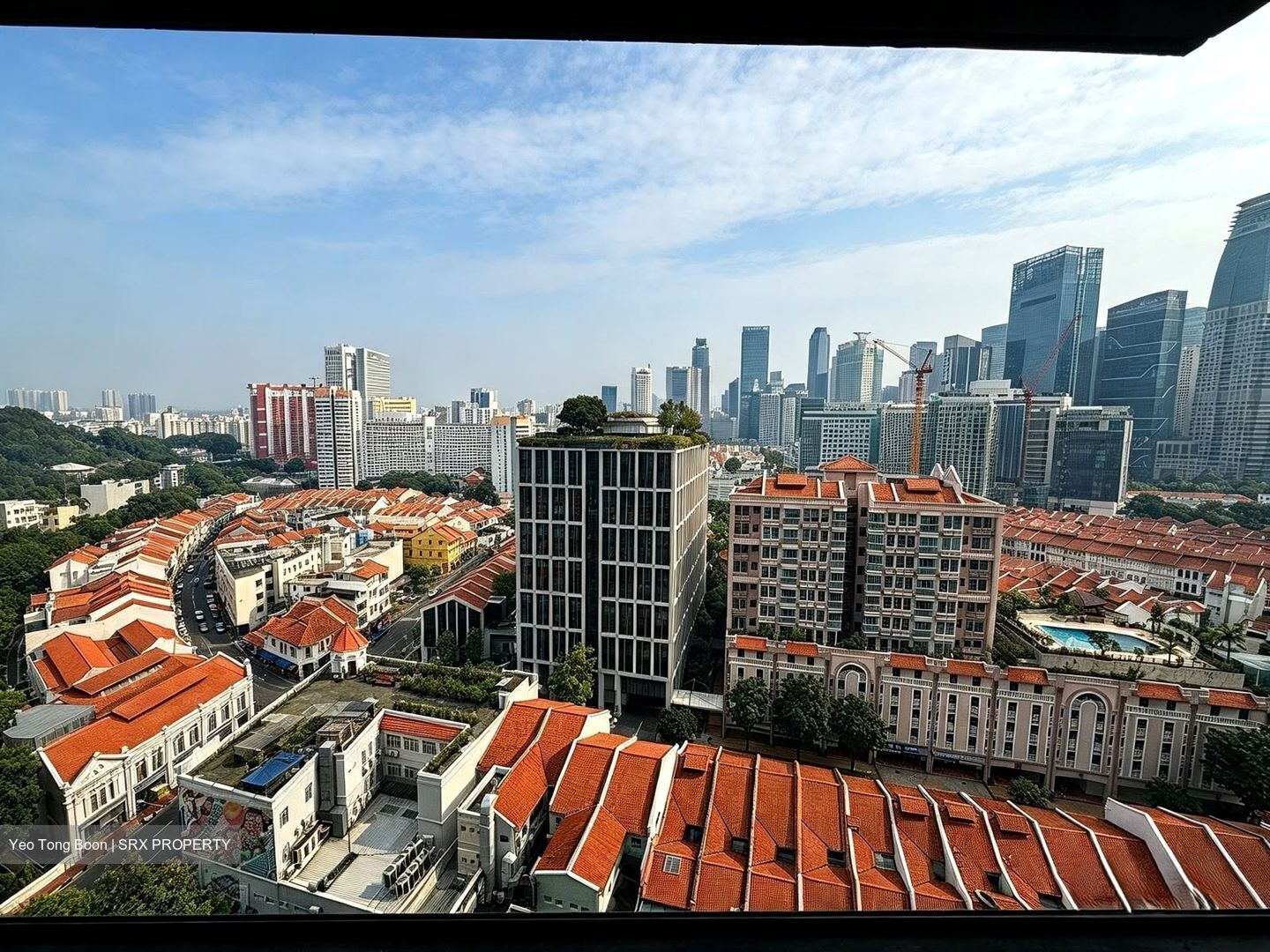 Blk 1B The Pinnacle@Duxton (Bukit Merah), HDB 4 Rooms #633838761